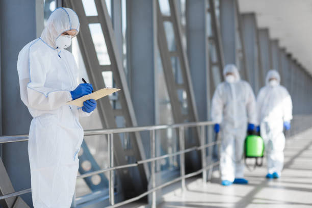 Best Mold Documentation for Insurance Claims  in Helena Flats, MT
