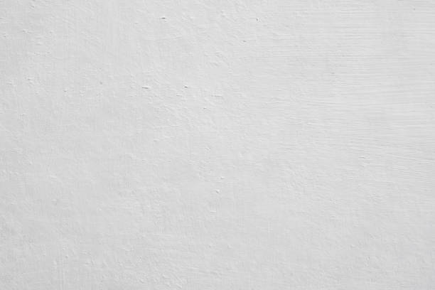 Best Black Mold Removal  in Helena Flats, MT