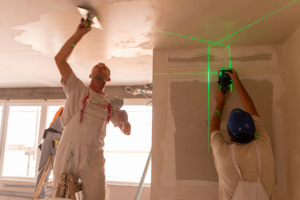Best Mold Remediation for Healthcare Facilities  in Helena Flats, MT